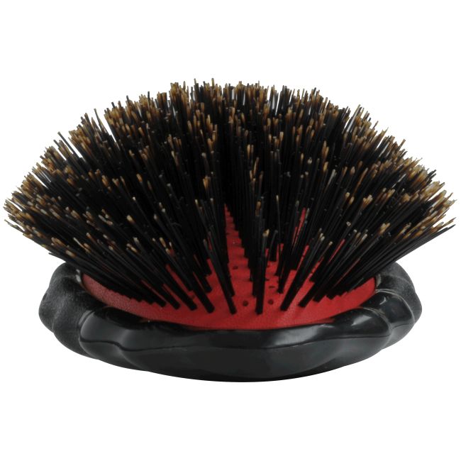 Y.S. PARK LUSTER CUSHION ECO STYLER BEETLE SERIES plaukų šepetys