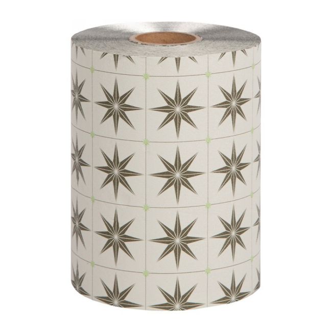 FRAMAR M NEUTRALS SAGE plaukų dažymo folija rulone