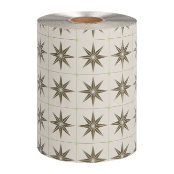 FRAMAR M NEUTRALS SAGE plaukų dažymo folija rulone